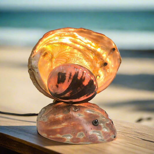 1950s large seashell desk lamp