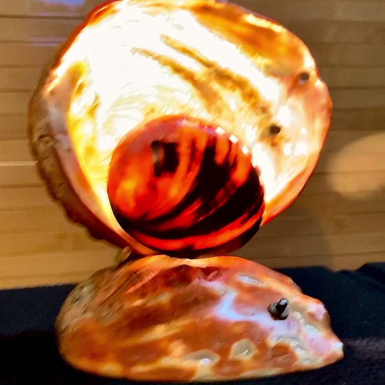 1950s HAndmade Seashell Accent Lamp