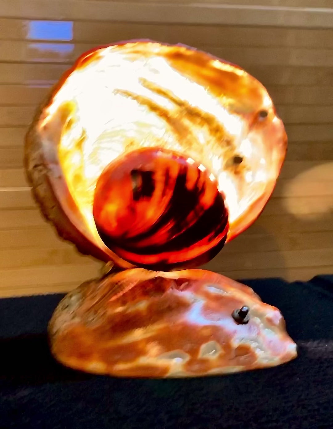 1950s HAndmade Seashell Accent Lamp